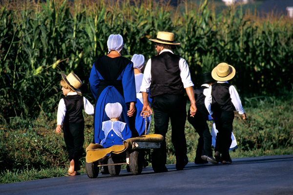 Amish | Donald Reese Photography