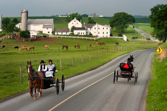 amish-open-buggy2