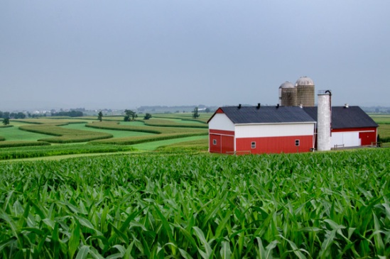lancaster-corn-fields