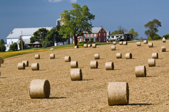 round-hay-bale-field